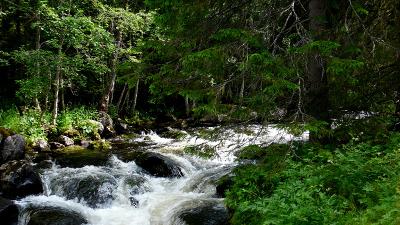 Ljusnedal